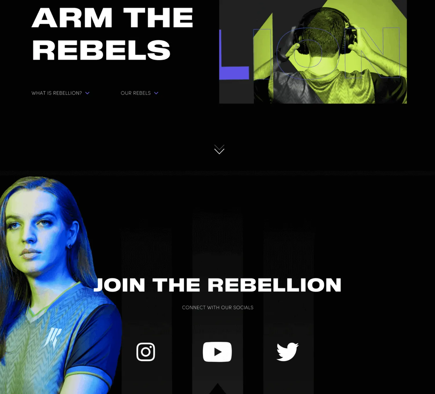 Portfolio - Shopify Rebellion - shopify webiste