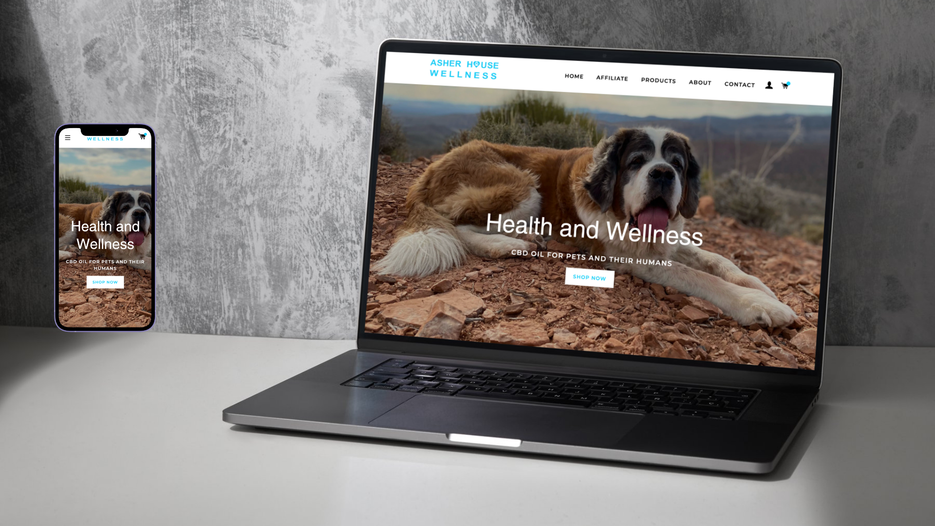 computer and phone mockup of modern website -The Asher House